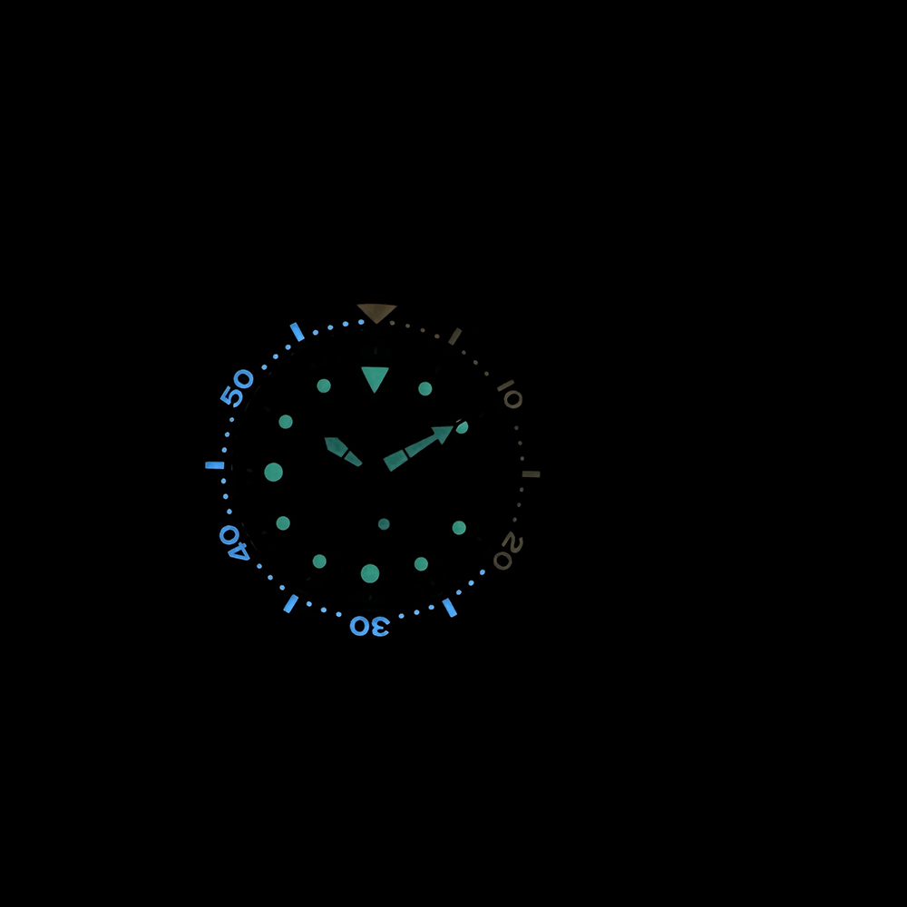 STEELDIVE New In SD1975C Mens  - Seiko Watch Prospex review and price